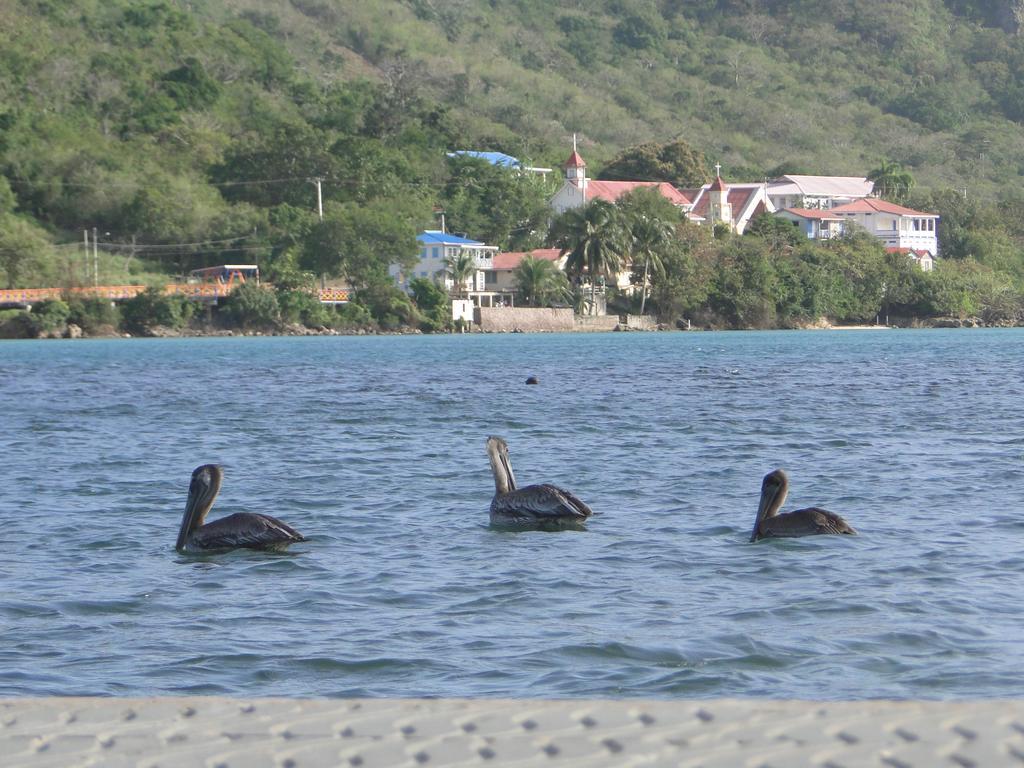 Posada Sunshine Paradise Providencia Island Exterior foto